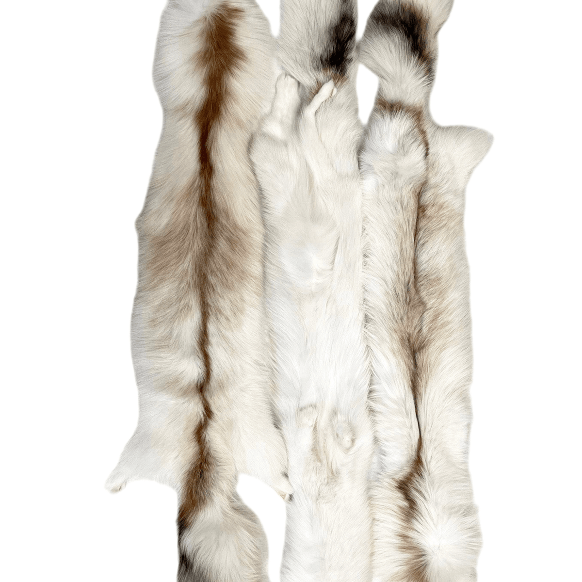 Professionally Tanned Fur - Sun Glo - Ranch Fox – Minnesota