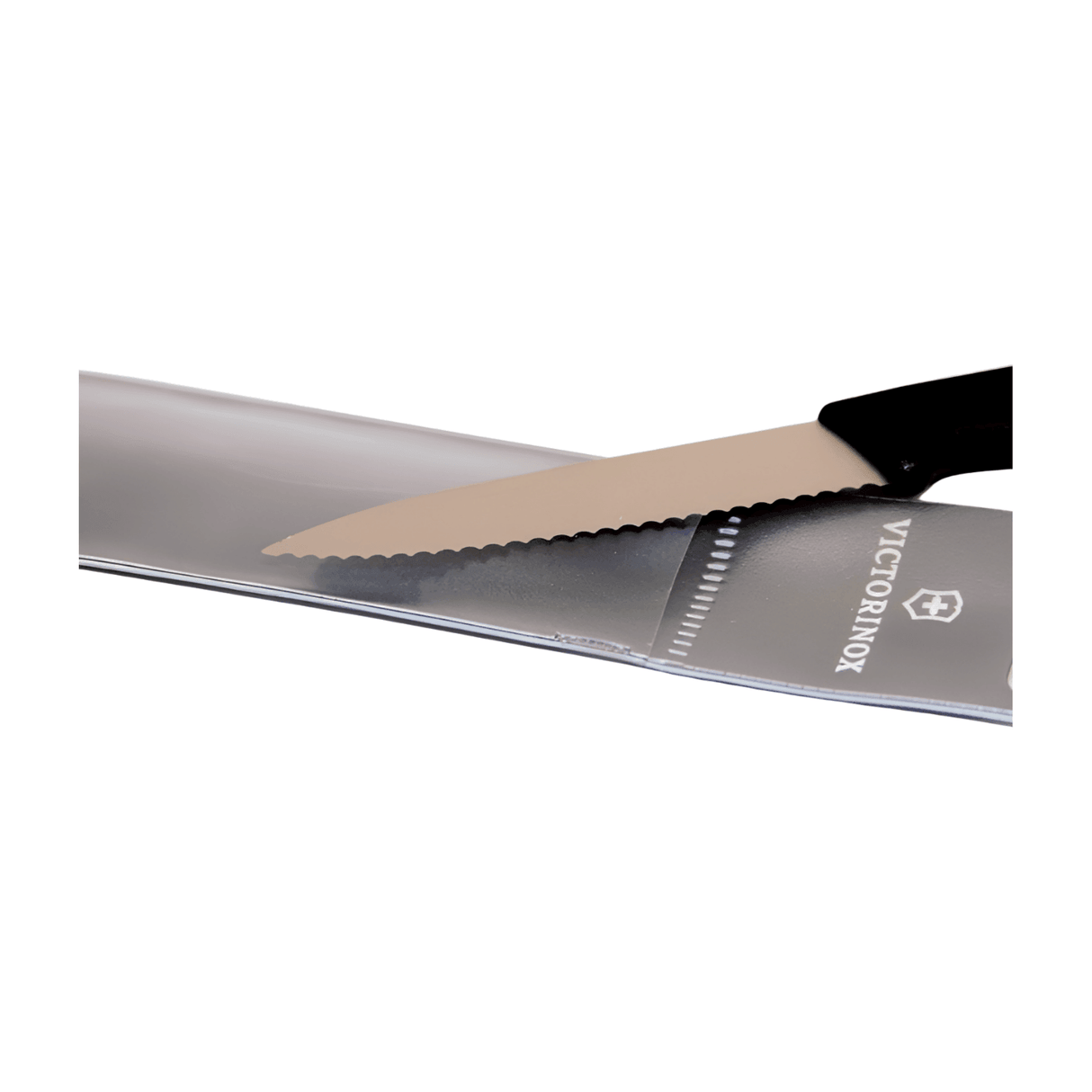 Serrated Pelter Knife - FREE GIFT ONLY