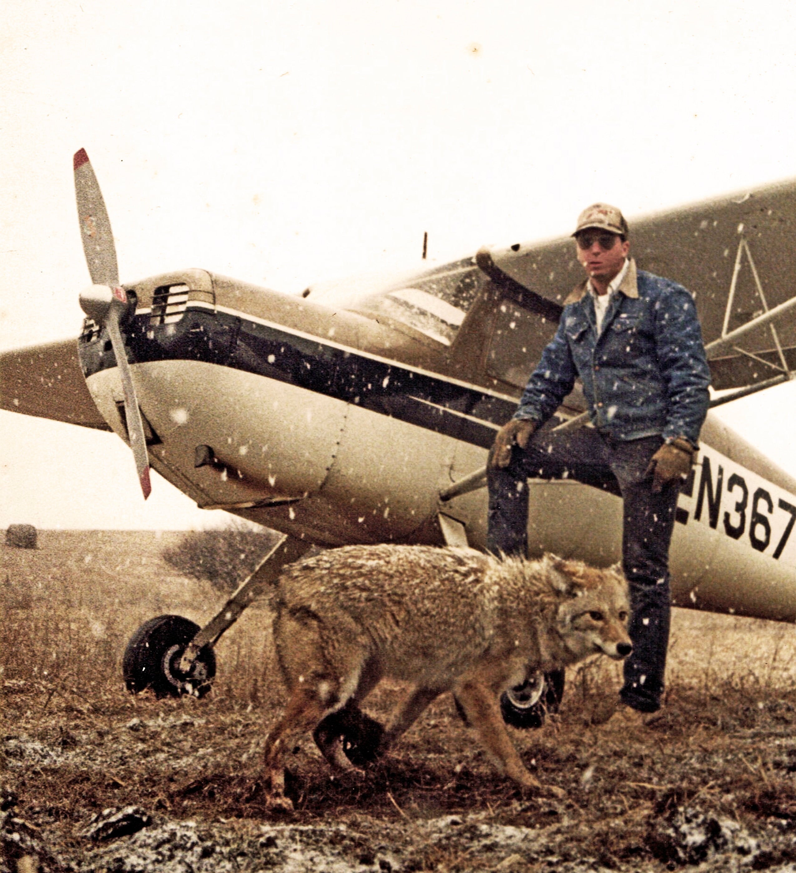 Sheep's Wool – Minnesota Trapline Products