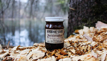 Best Beaver Trapping Lures