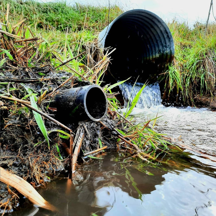 A pvc pipe set sticking out of a river bank with a culvert in the background