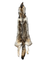 Tanned Timber Wolf No. 23 - 76"