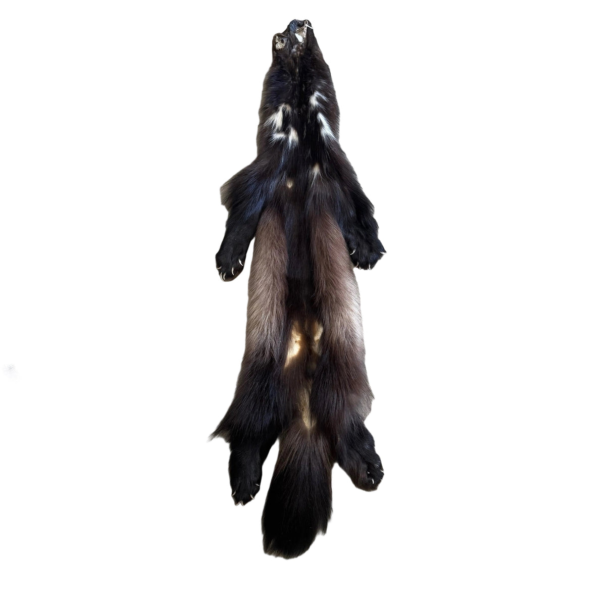 Wolverine #03 - Professionally Tanned