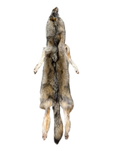 Tanned Timber Wolf No. 22 - 74"
