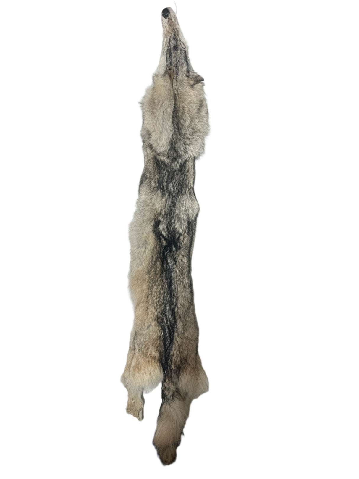 Tanned Timber Wolf No. 8 - 79" Long