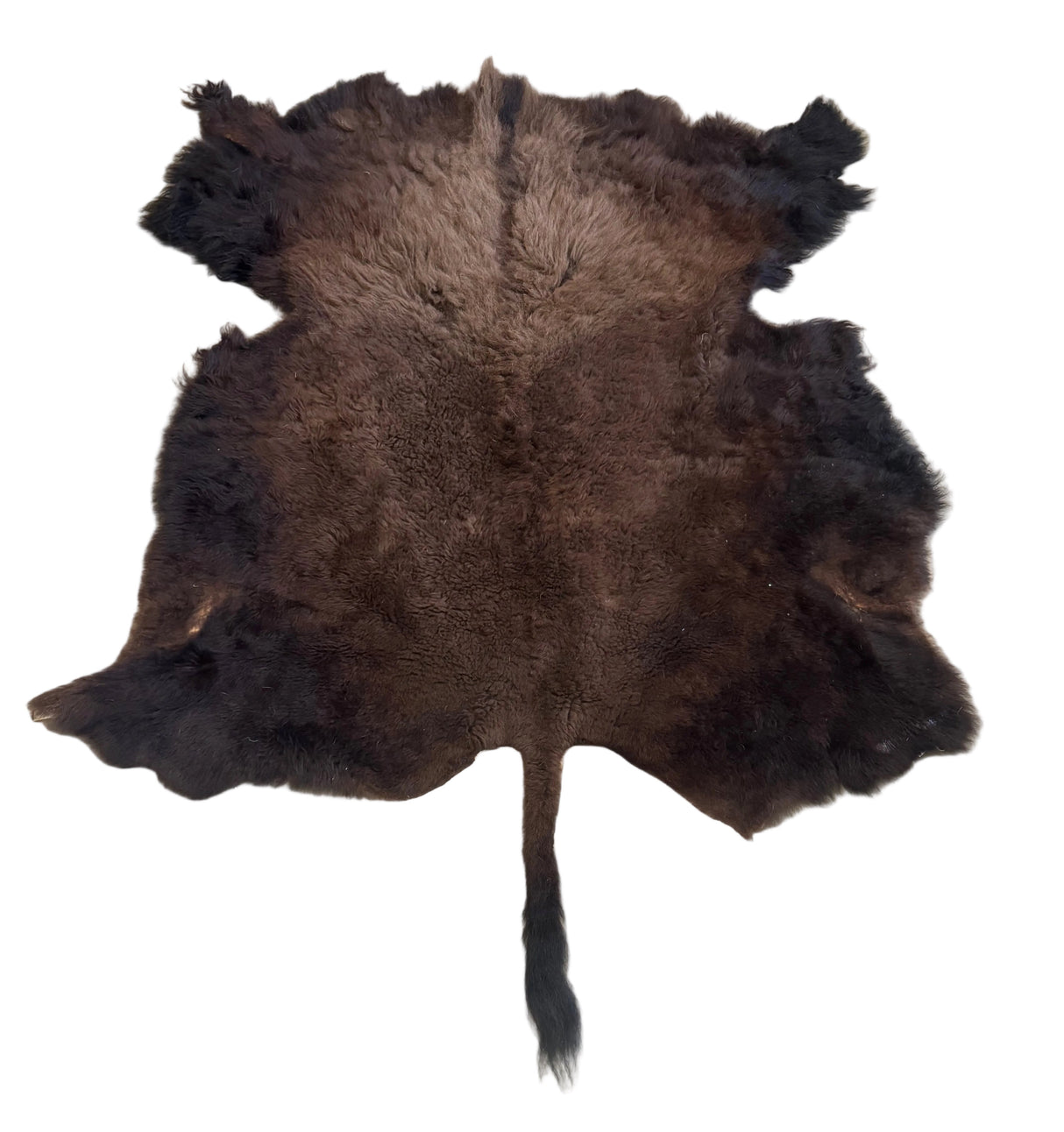 Bison Hide - 91"x80"
