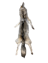 Tanned Timber Wolf No. 21 - 68"