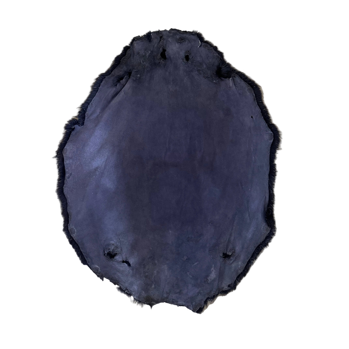 Beaver - Purple Dyed