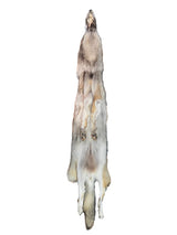 Tanned Timber Wolf No. 15 - 78"