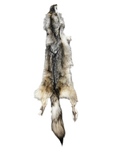 Tanned Timber Wolf No. 24 - 81"