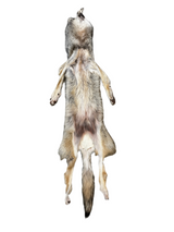 Tanned Timber Wolf No. 27 - 76"