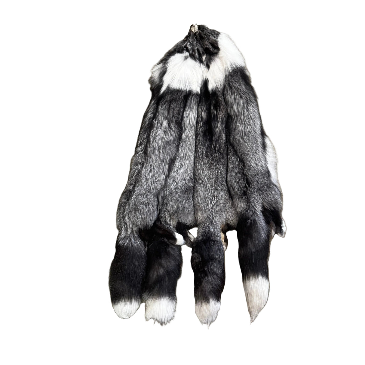 Platinum Fox - Ranched - Professionally Tanned Pelt