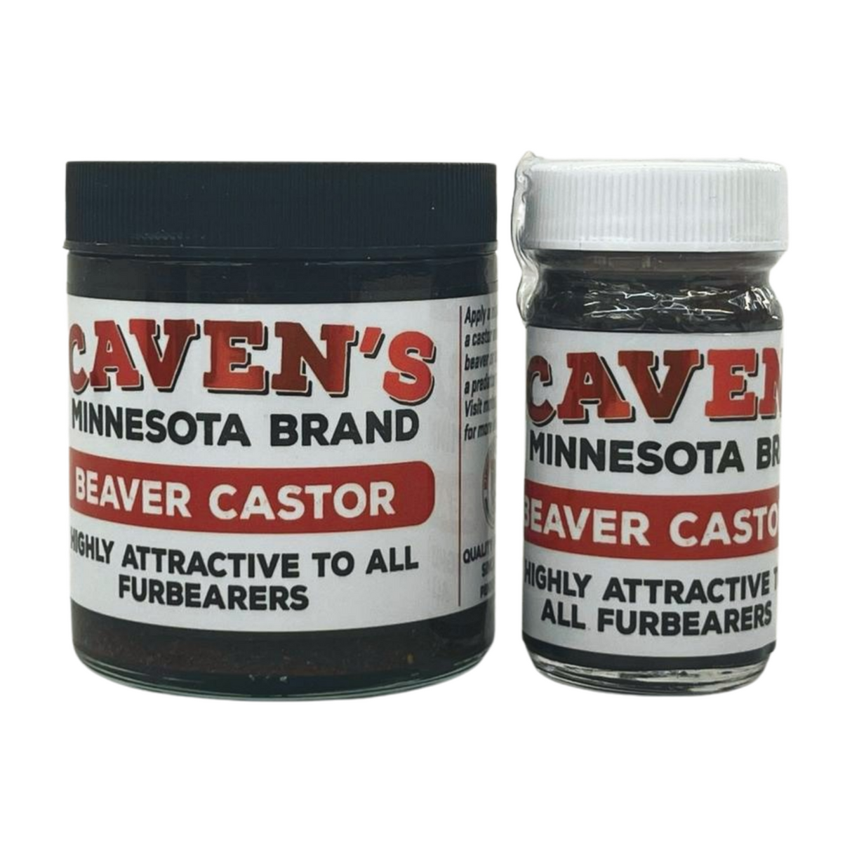Beaver Castor (ground)
