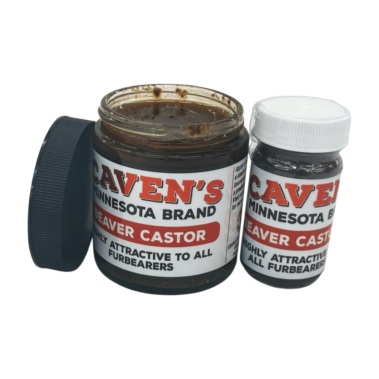 Beaver Castor (ground)