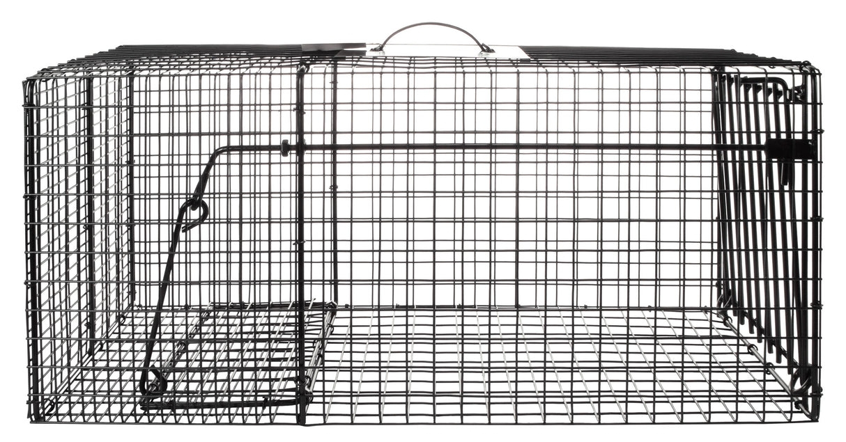 Raccoon Cage Trap