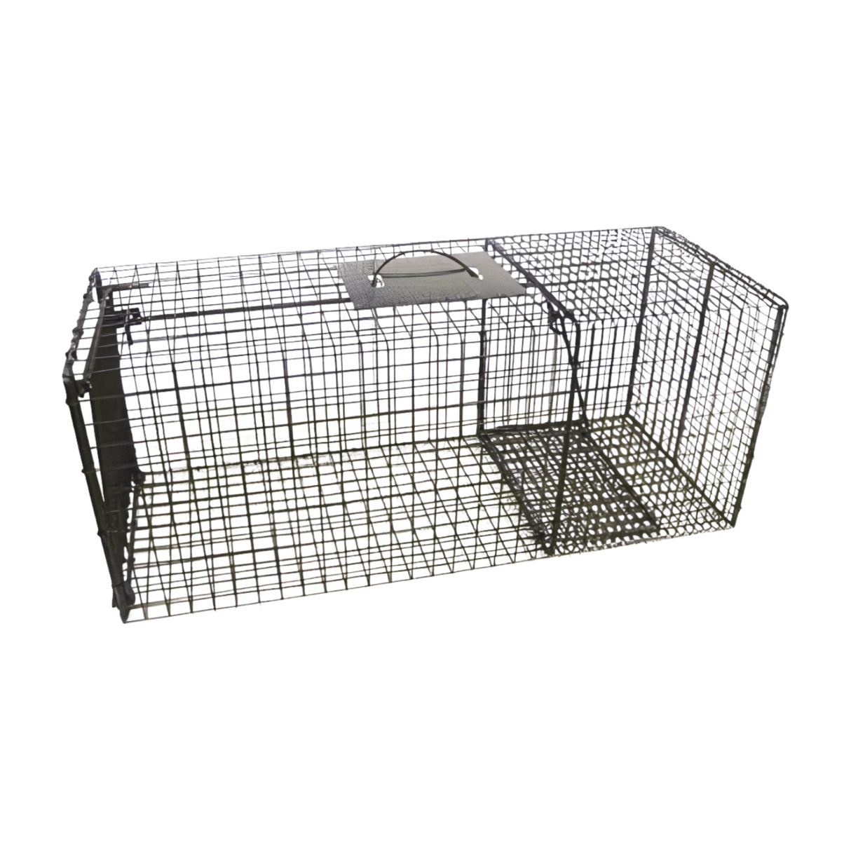 Bobcat Cage Trap