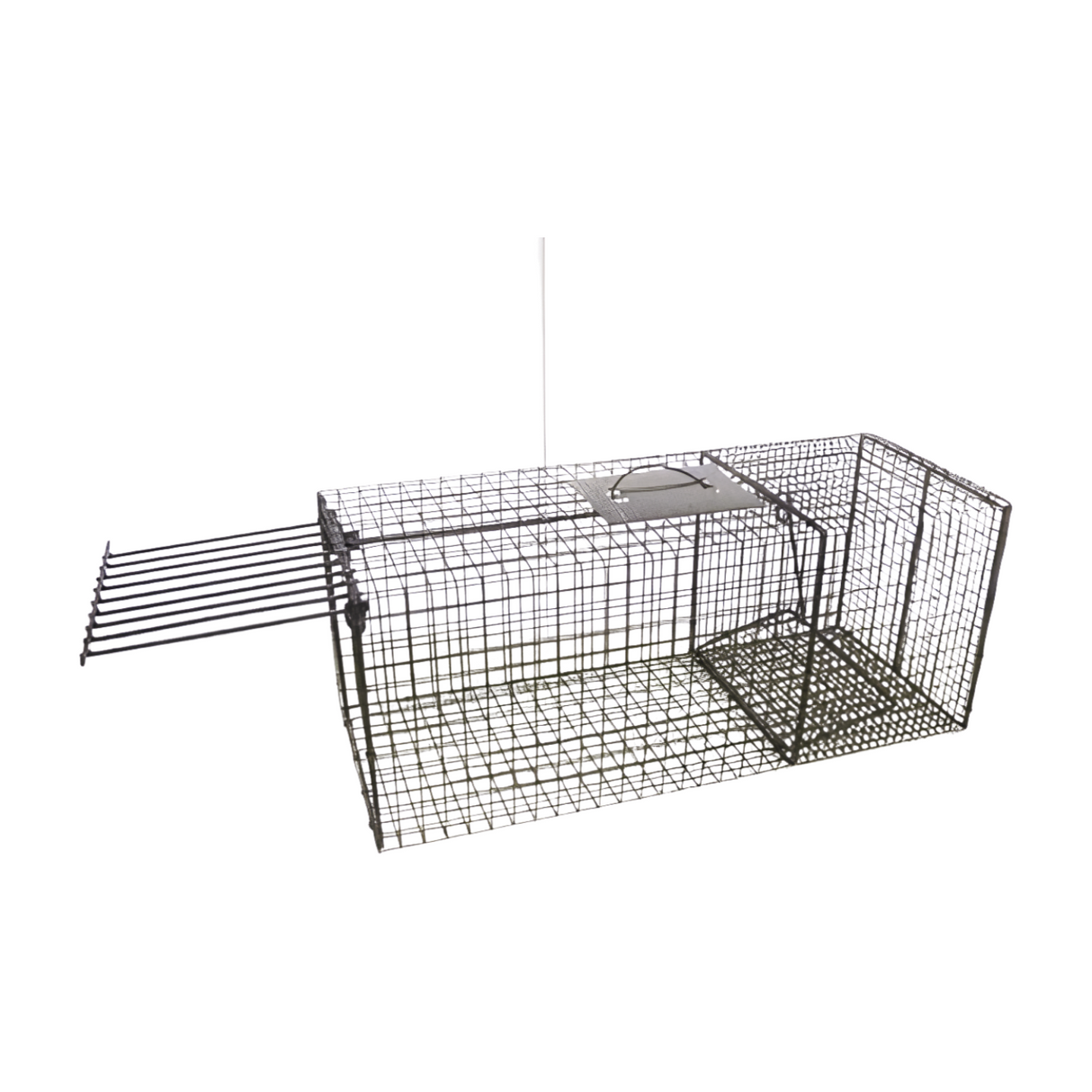 Bobcat Cage Trap