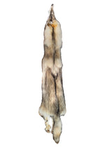 Tanned Timber Wolf No. 13 - 79"