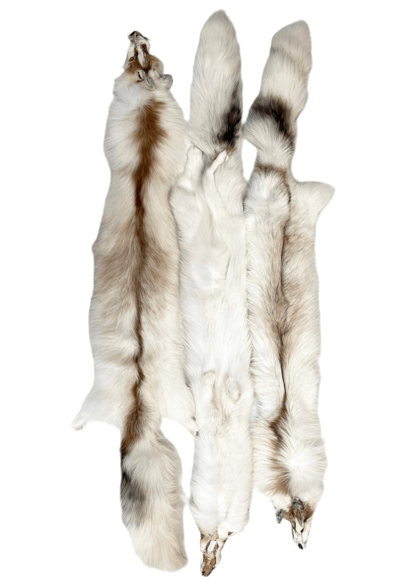 E59E281E-2C6A-42A4-AC69-