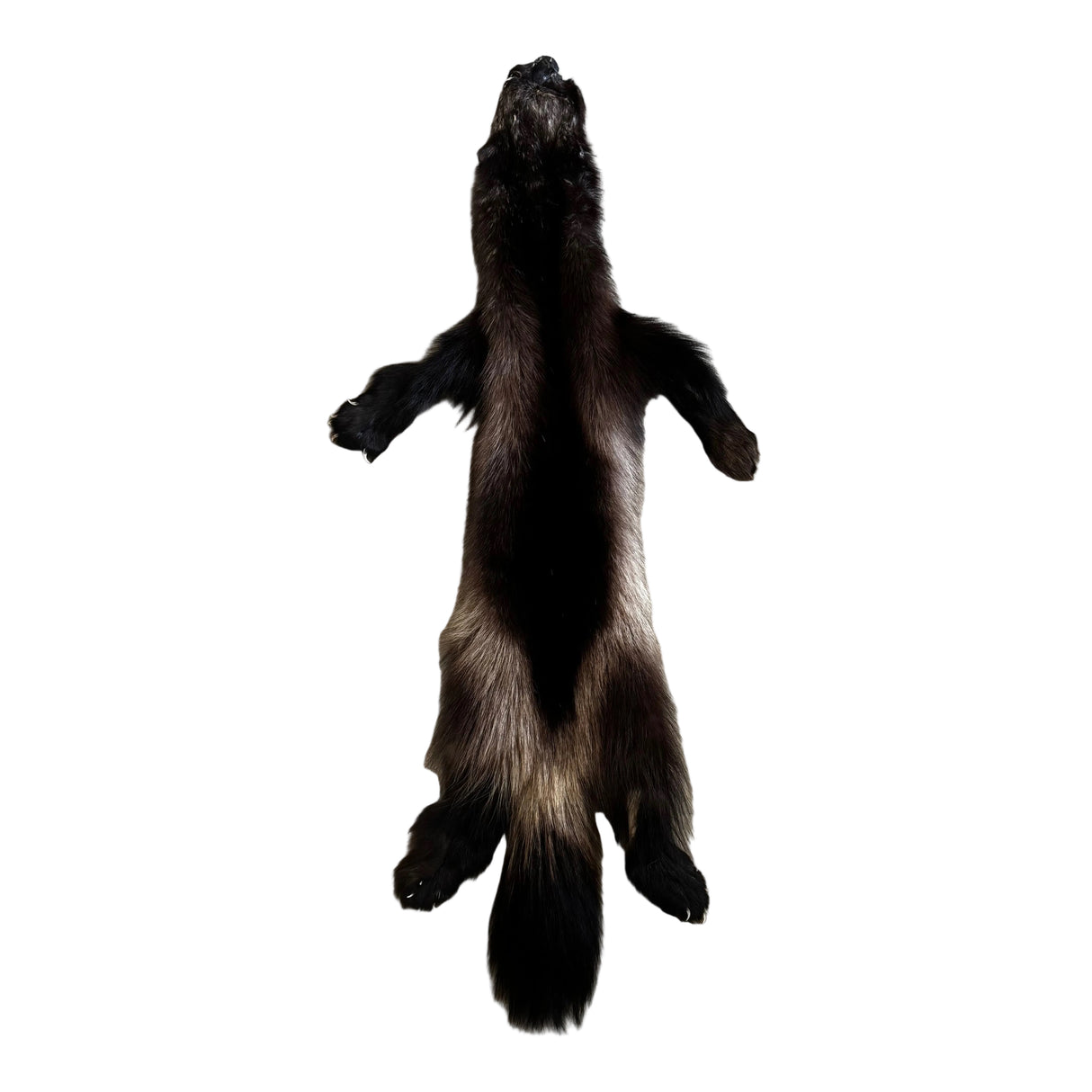 Wolverine #03 - Professionally Tanned