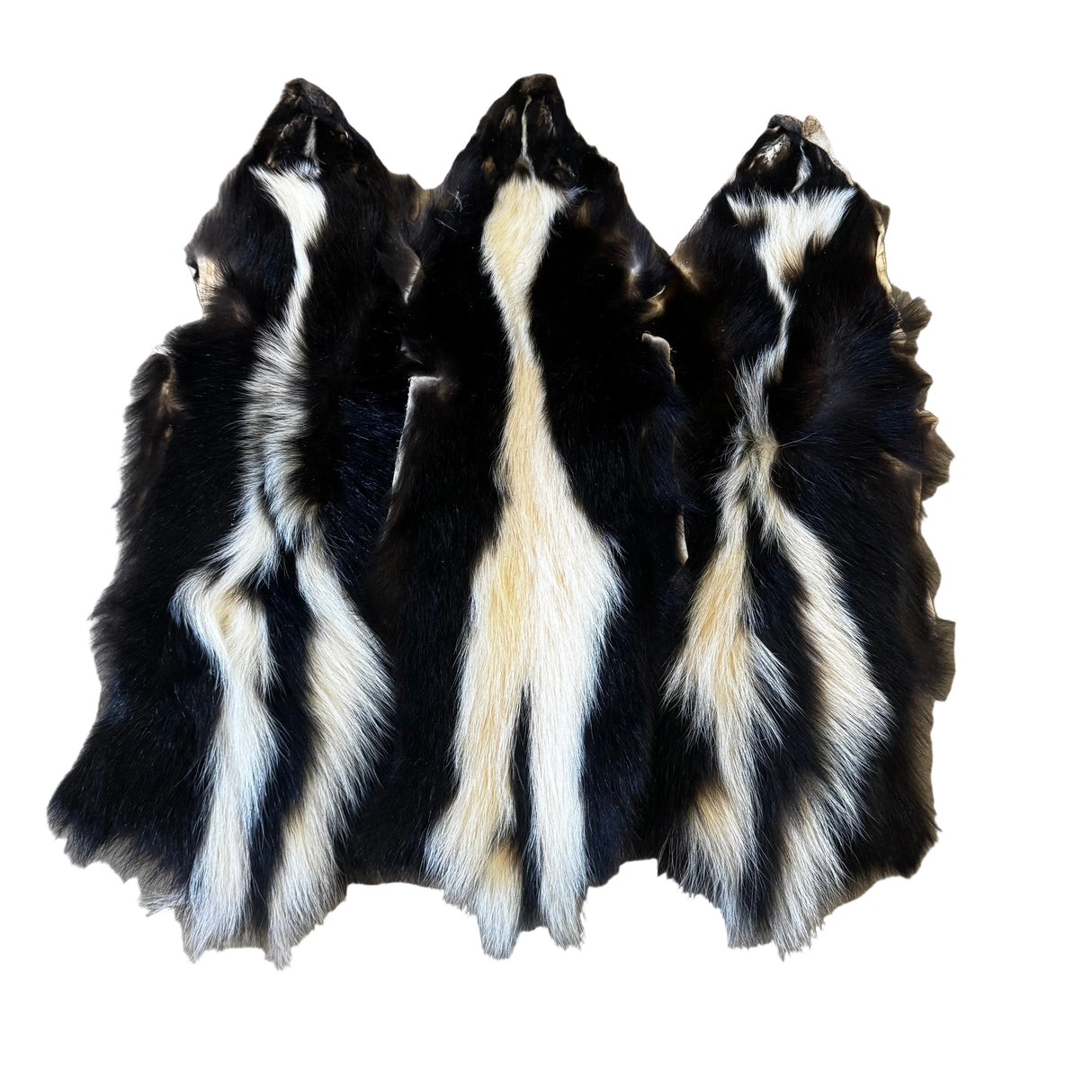 Skunk - Sewing/Crafting Pelts