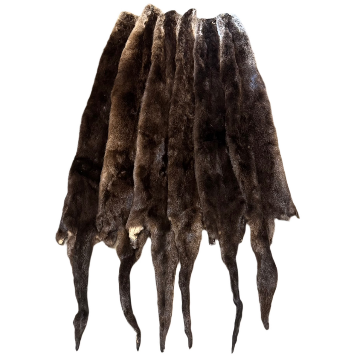 Otter - Minnesota - Professionally Tanned Pelt