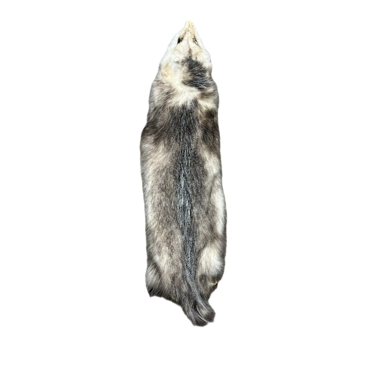 Opossum - Professionally Tanned Pelt