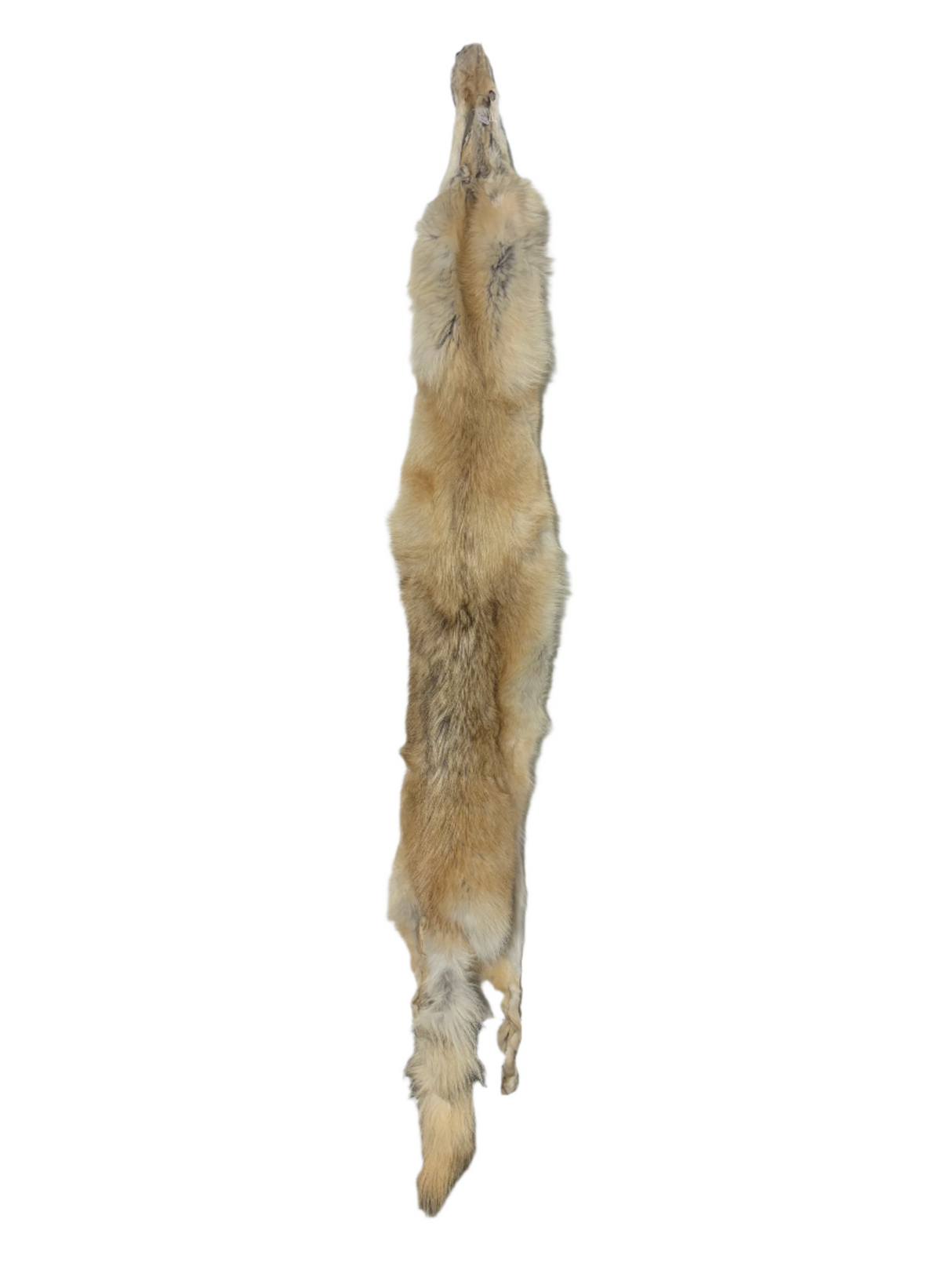 Tanned Timber Wolf No. 10 - 83" Long