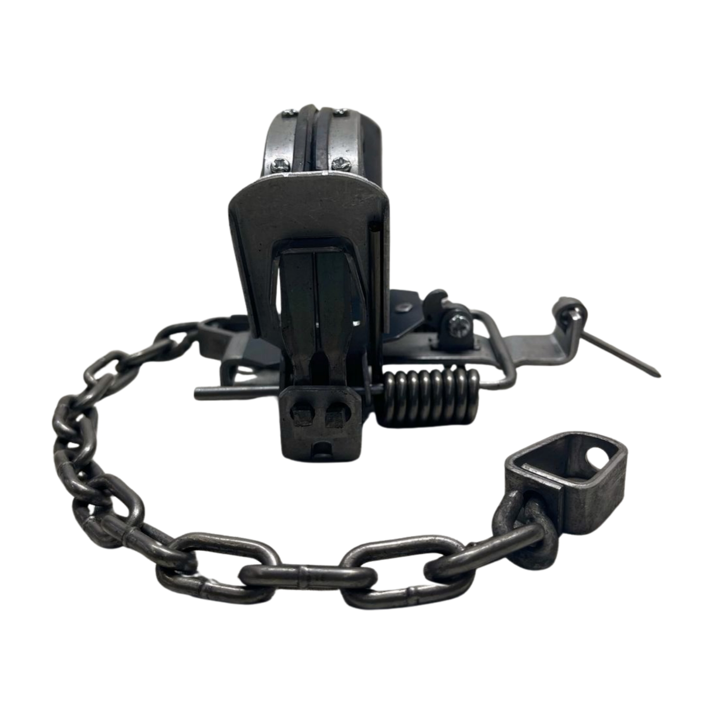 Duke 4 Coil Spring Offset 4x4 Animal Trap - 12 Pack - Model 0503-12