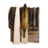 Solid Raccoon Boards (XLARGE)