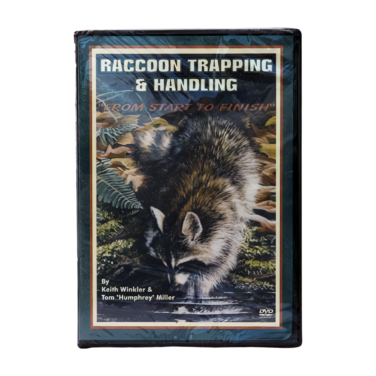 Raccoon Trapping & Handling From Start to Finish - Winkler