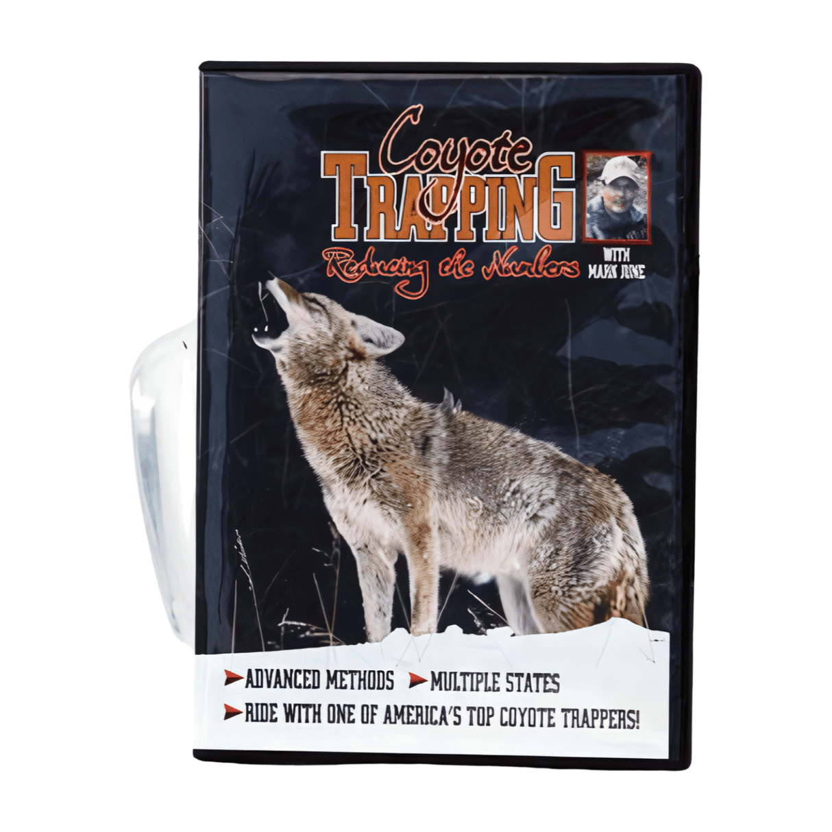 Reducing the Numbers Coyote Trapping - Mark June