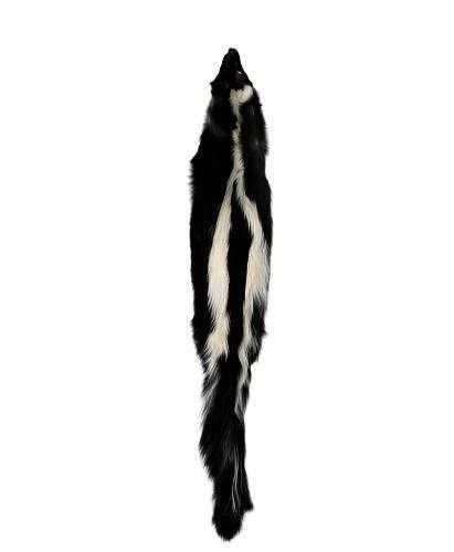 Skunk - Professionally Tanned Pelt