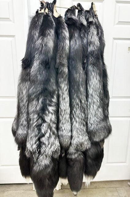 Silver Ranch Fox - HUGE! Professional Tanned – Minnesota Trapline