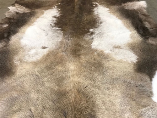 Professionally Tanned Reindeer Hides