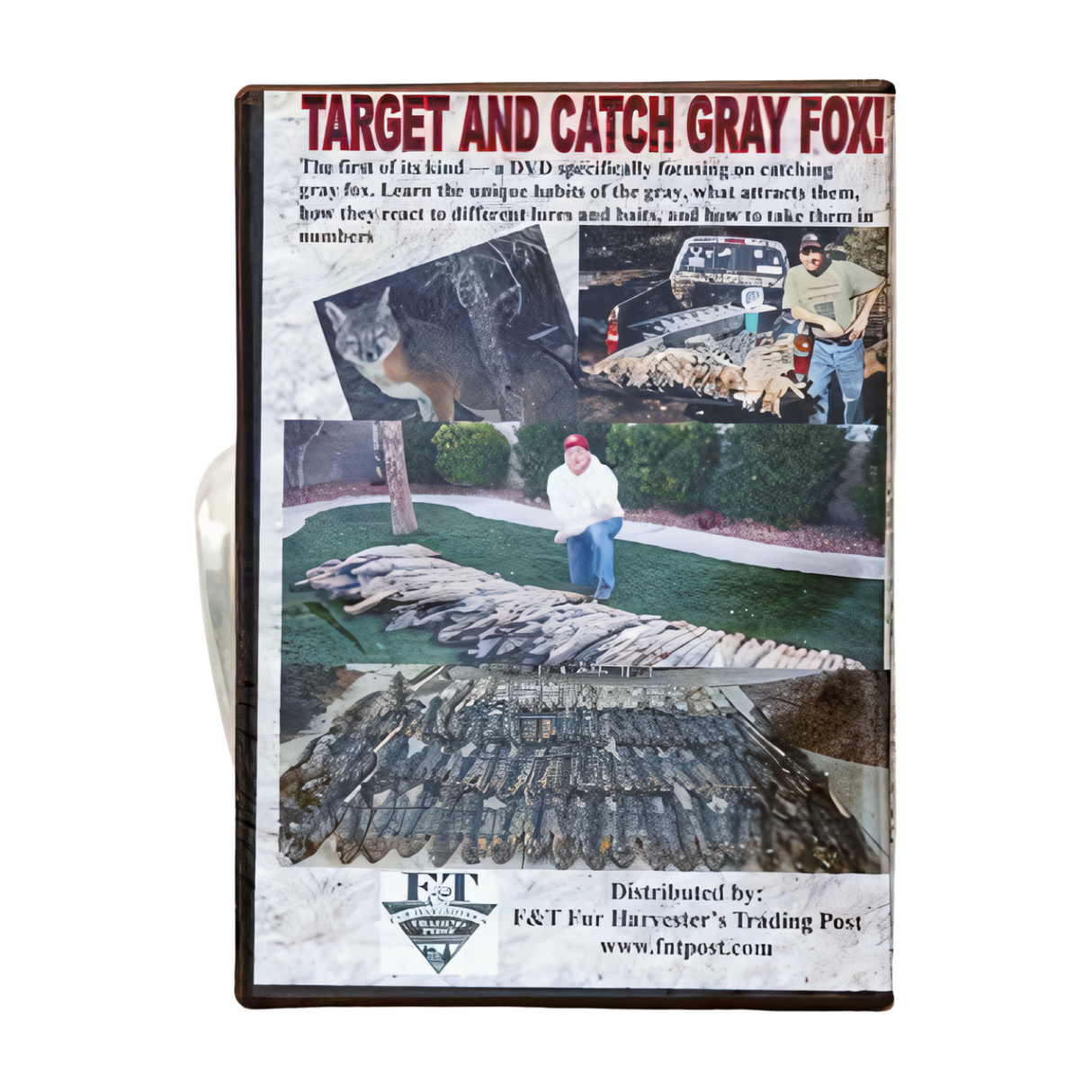 Modern Grey Fox Trapping - Tracy Truman - DVD