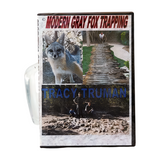 Modern Grey Fox Trapping - Tracy Truman - DVD