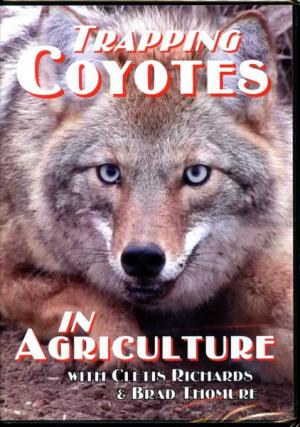 Trapping Coyotes in Agriculture - Clete's Richard Apple Road